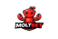 moltbet